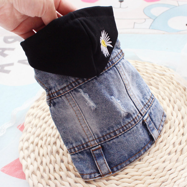 Kapuutsiga teksavest koerale