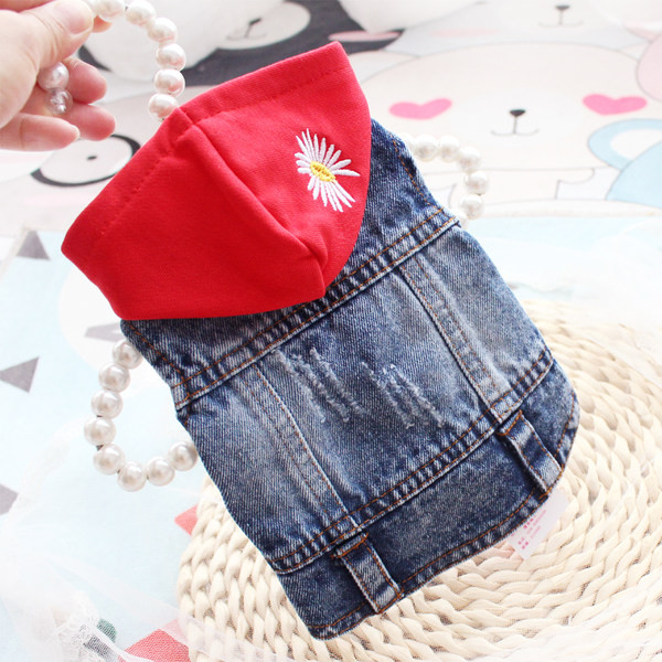 Kapuutsiga teksavest koerale