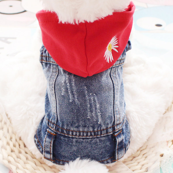 Kapuutsiga teksavest koerale