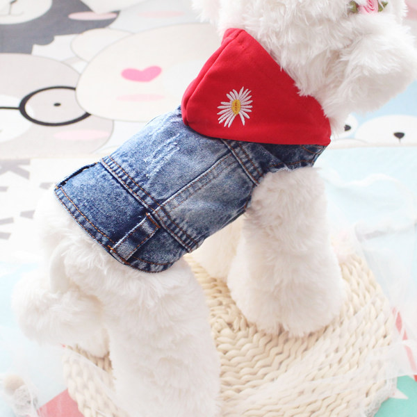 Kapuutsiga teksavest koerale