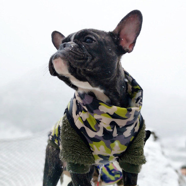 Haine colorate cu fermoar pentru câini
