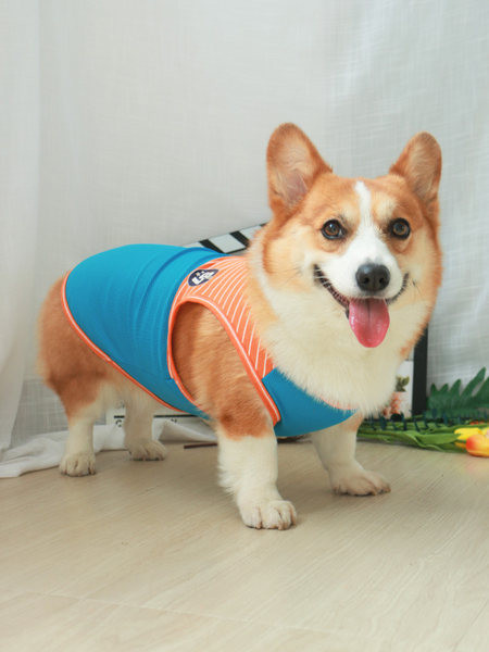 Vestă cu imprimeu de câine