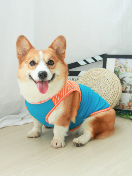 Vestă cu imprimeu de câine