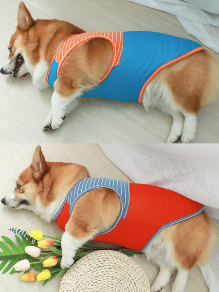 Vestă cu imprimeu de câine