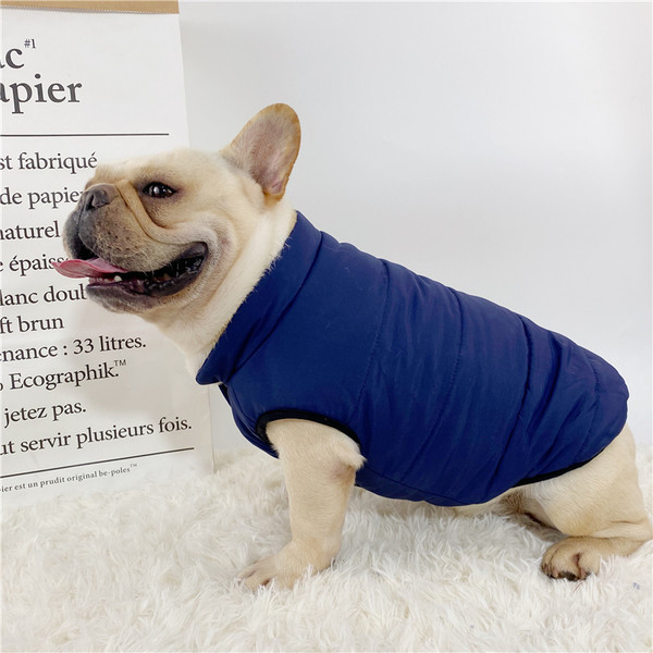 Haina cu nasturi - pentru un caine