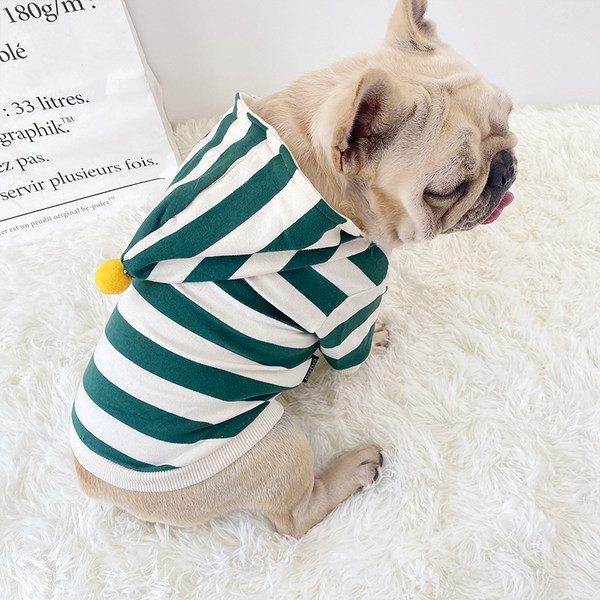 Kapuutsiga triibulised riided koerale