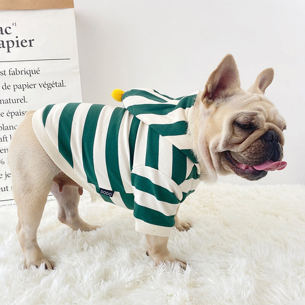 Kapuutsiga triibulised riided koerale