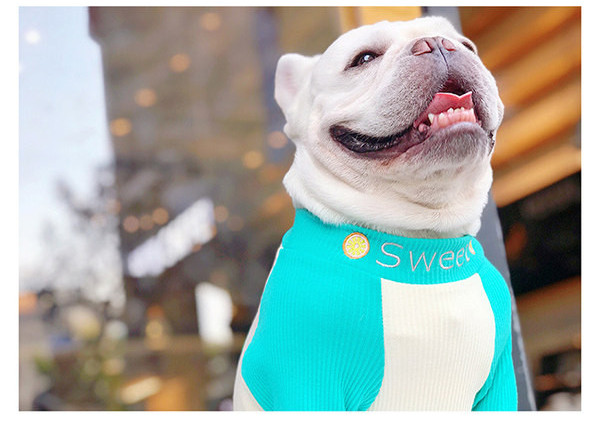 Tikandiga pluus koerale