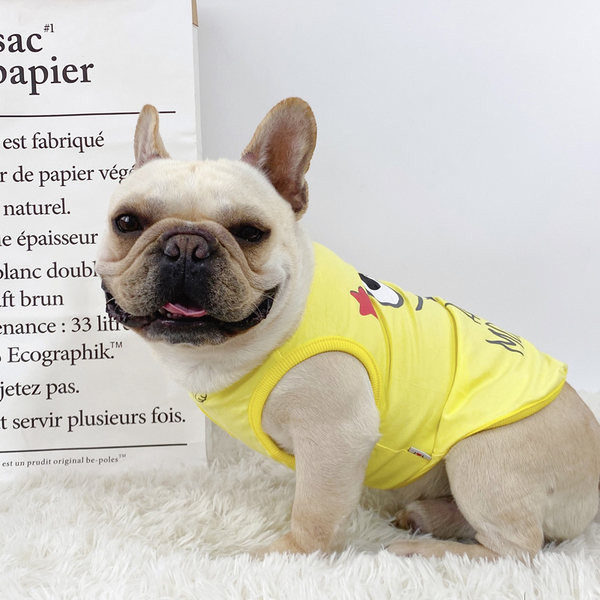 Haine colorate cu imprimeu pentru caini