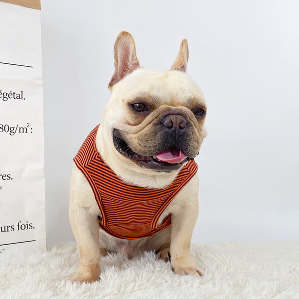Bluză cu dungi cu inscripție pentru câini