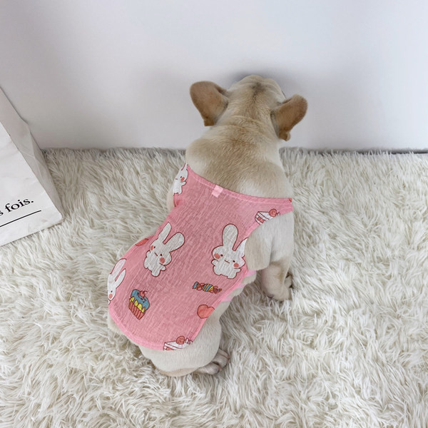 Šareni prsluk za pse