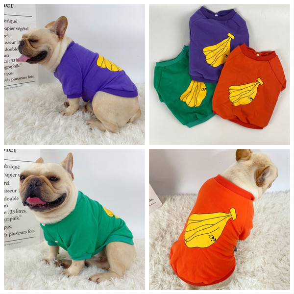 Šarena bluza s printom za pse