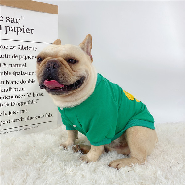 Šarena bluza s printom za pse