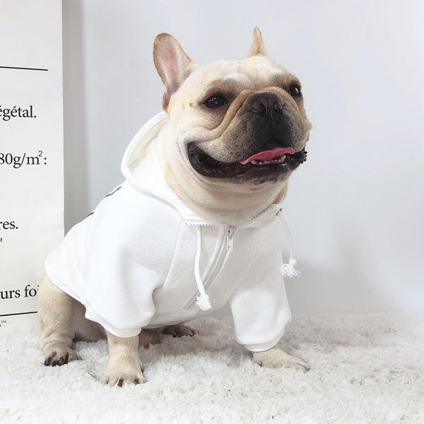 Bluza cu gluga pentru caini