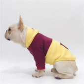 Soe kapuutsiga dressipluus koertele