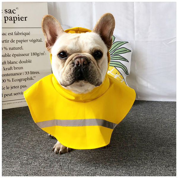 Taskuga vihmamantel koertele