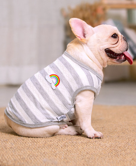 Imbracaminte moderna in dungi pentru caini in doua modele cu tul