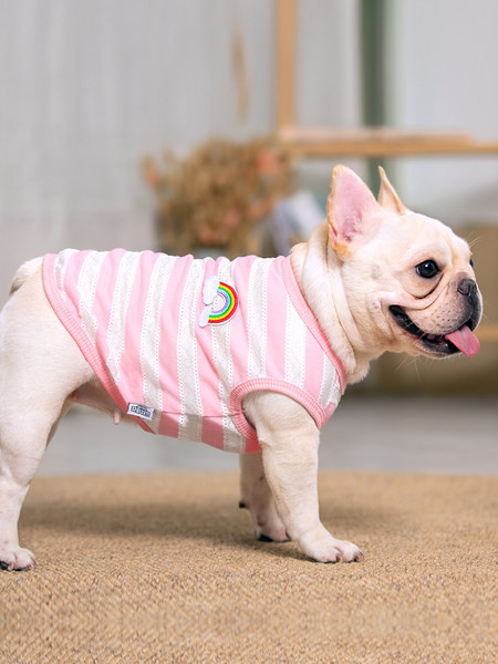 Imbracaminte moderna in dungi pentru caini in doua modele cu tul