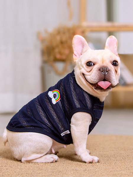 Imbracaminte moderna in dungi pentru caini in doua modele cu tul