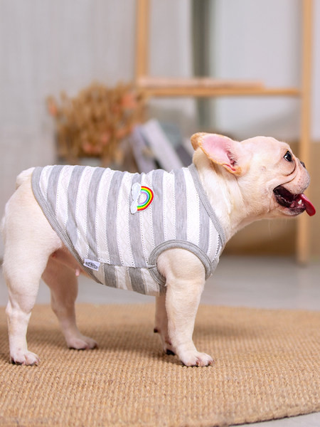 Imbracaminte moderna in dungi pentru caini in doua modele cu tul