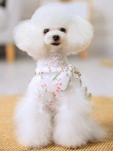 Rochie de vara pentru caini cu bucle