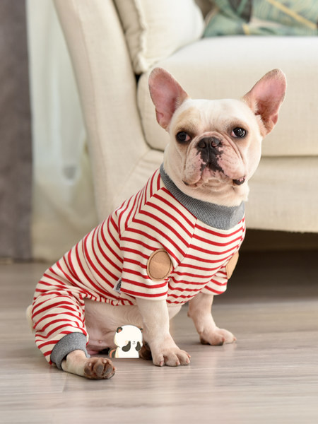 Haina in dungi cu maneca scurta pentru caini