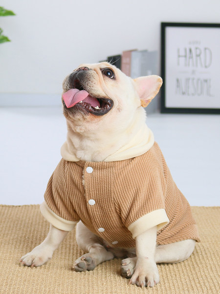 Moodne pehme voodriga jope koertele