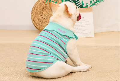 Triibuline kaelarihmaga pluus koertele