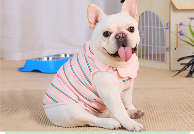 Triibuline kaelarihmaga pluus koertele