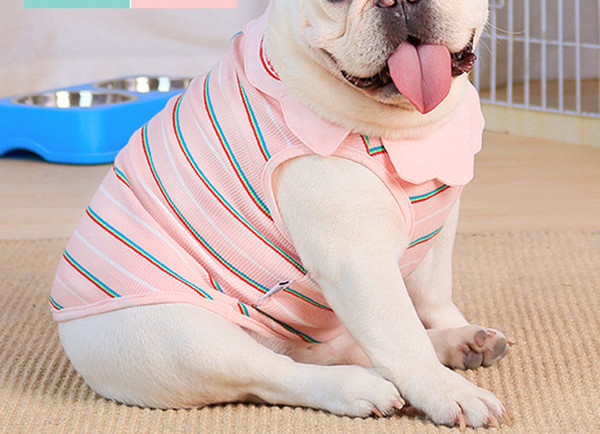 Triibuline kaelarihmaga pluus koertele