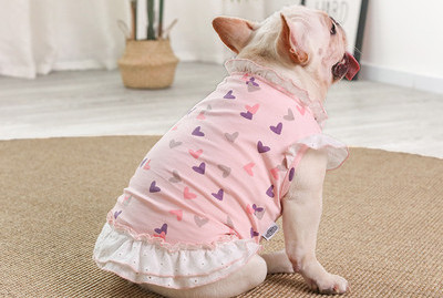 Värviline kleit koerale