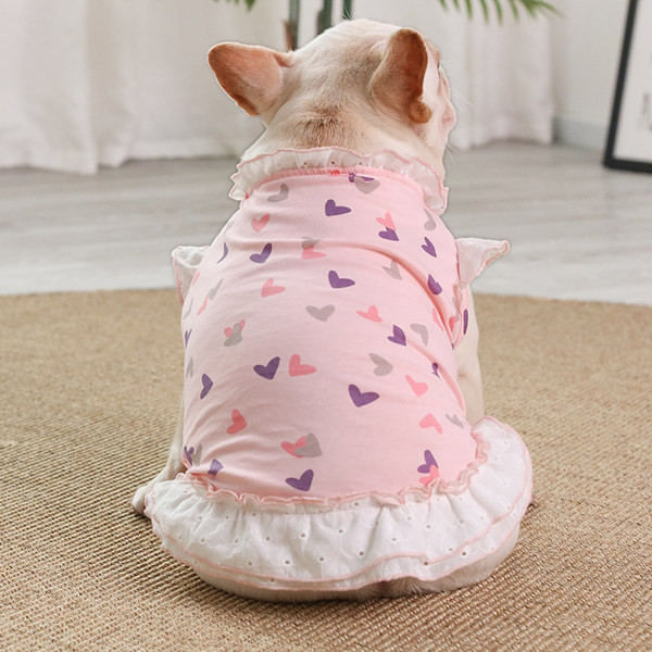 Värviline kleit koerale