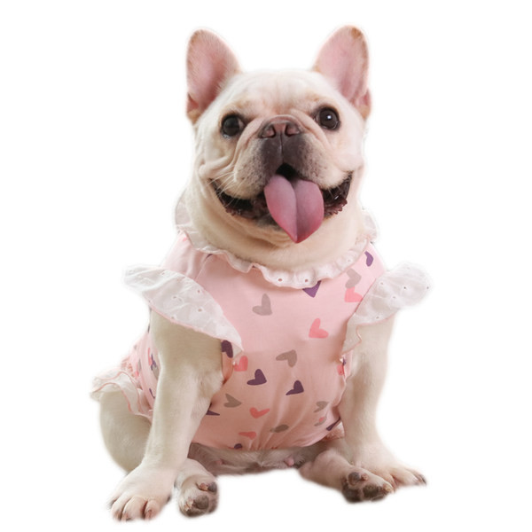 Värviline kleit koerale