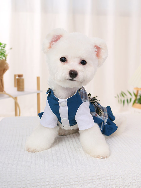 Rochie in carouri cu bucle pentru caini