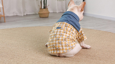 Moodne koeraruuduline särk