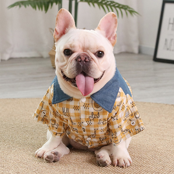 Moodne koeraruuduline särk