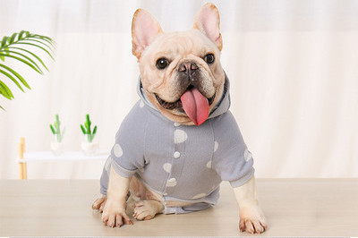 Täppidega kombinesoonid koertele