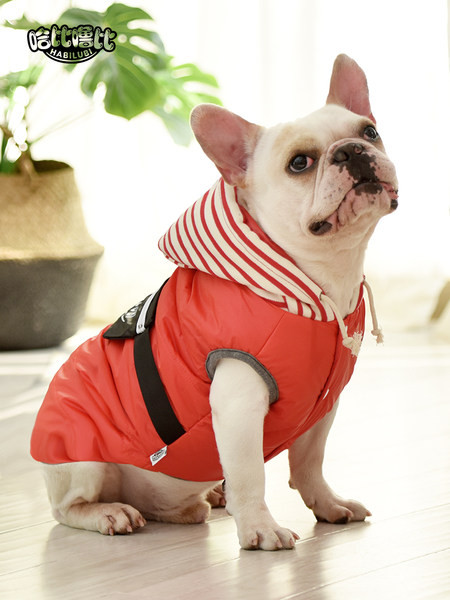 Jakna za pse u dvije boje