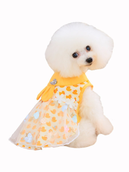 Πολύχρωμο φόρεμα για σκύλους