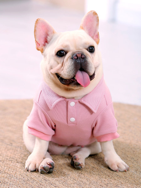 Cămașă modernă pentru câine cu aplicație