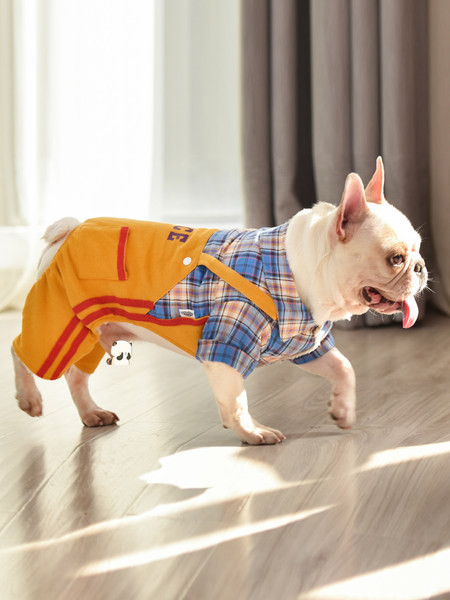 Salopetă în carouri pentru câini în două culori