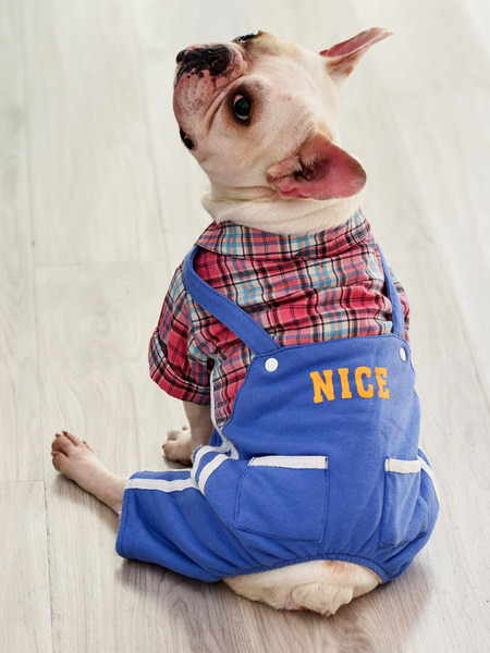 Salopetă în carouri pentru câini în două culori