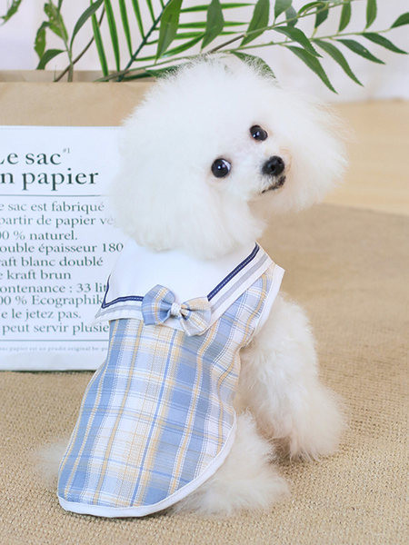 Rūtains apģērbs ar lentīti - suņiem
