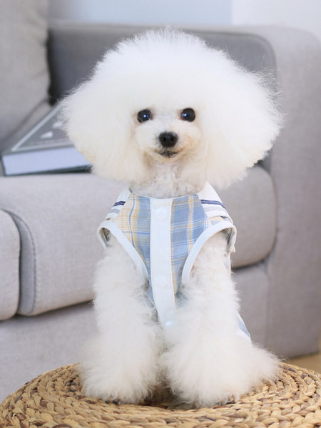 Rūtains apģērbs ar lentīti - suņiem