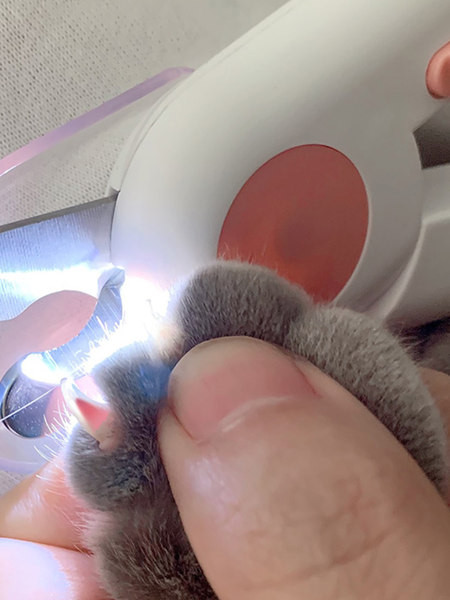 Küünte lõikamise käärid