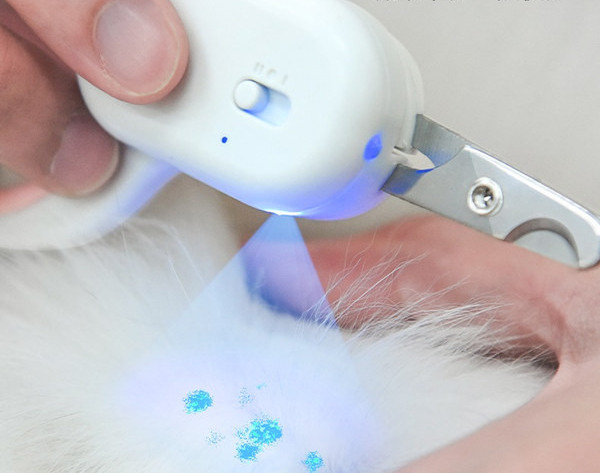 Lemmikloomade küünekäärid