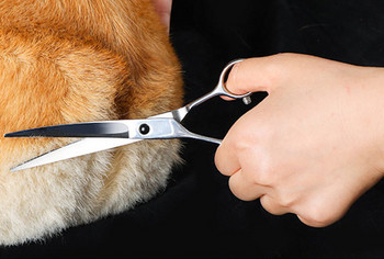 Ножица за подстригване на кучета