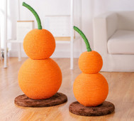 Scratcher kassidele - kaks mudelit