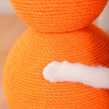 Scratcher kassidele - kaks mudelit