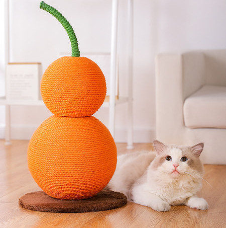 Scratcher kassidele - kaks mudelit